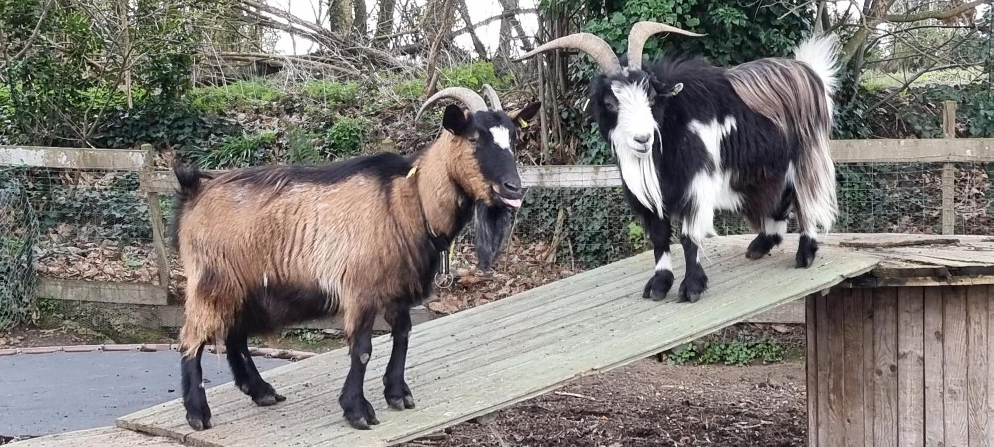 Gites Ferme De La Baie Roz sur Couesnon Bagian luar foto
